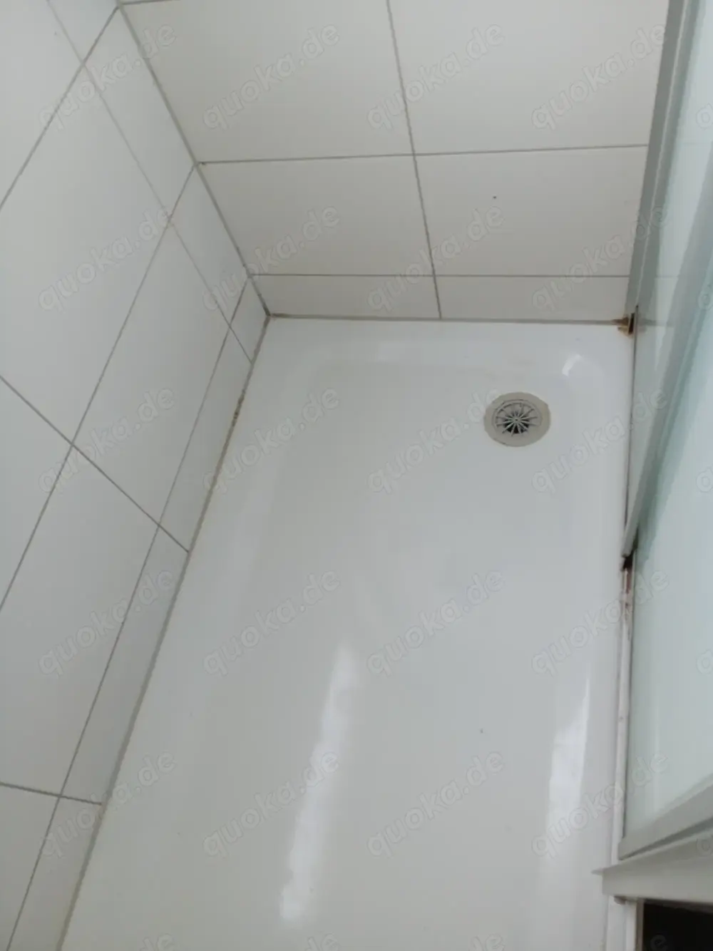 Gut gehende erotik Wohnung 