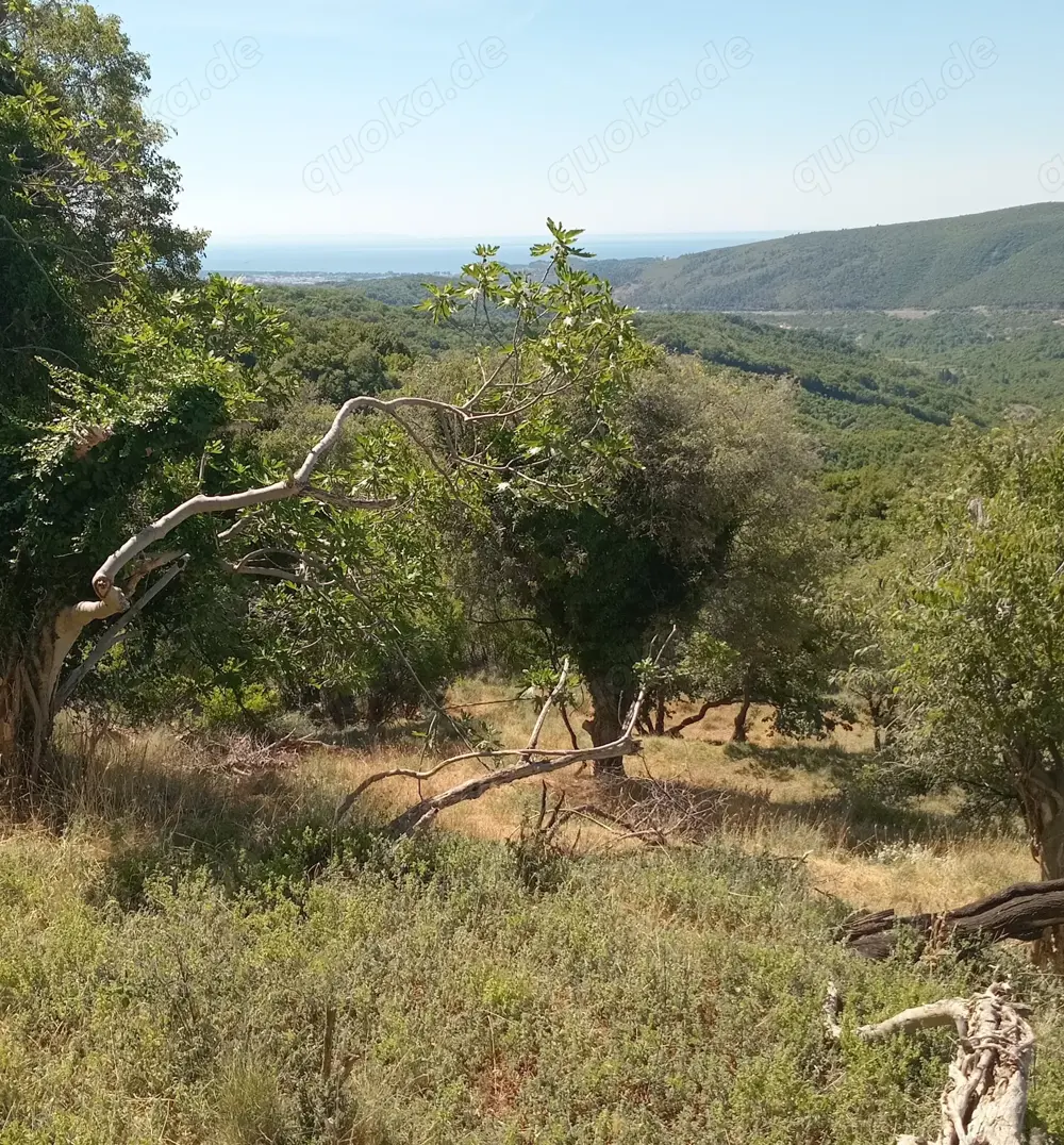 Baugrundstück 300m2 Strand 4-5km. Meerblick , Naturwasser Quelle
