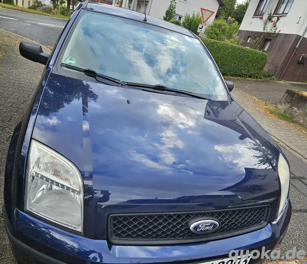 Ford Fusio BJ 2003