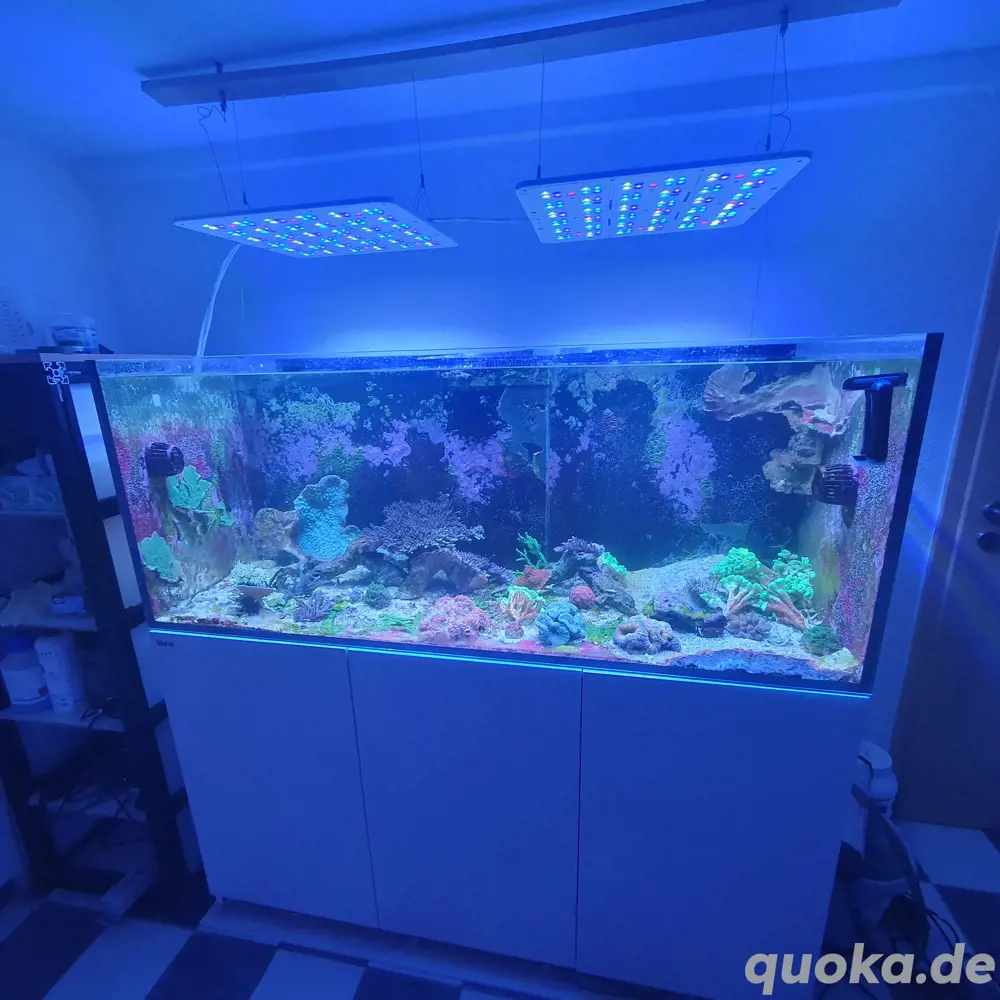1 x ATI Straton pro 153 in weiß Meerwasser Lampe LED 