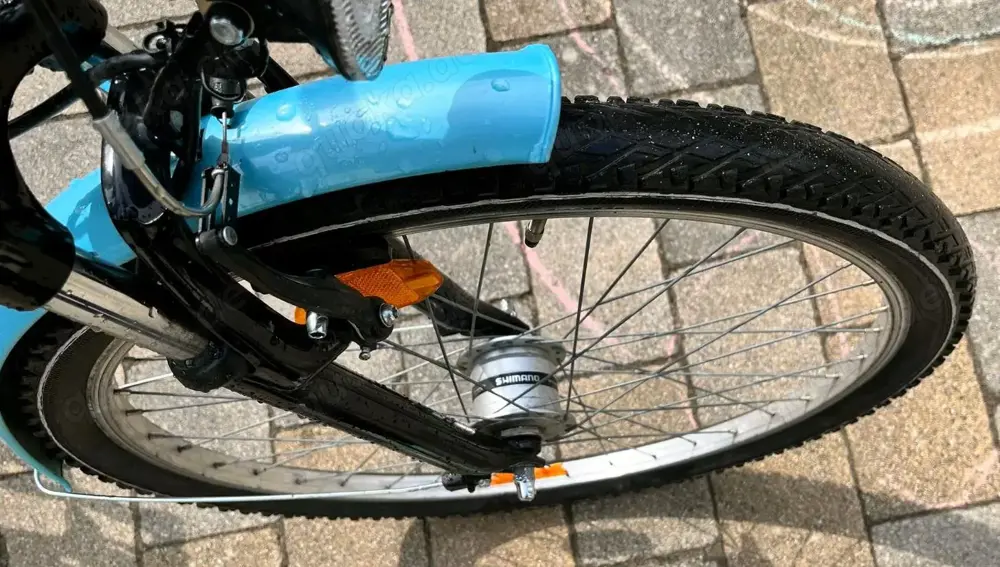 Mädchenfahrrad Pegasus 26 Zoll