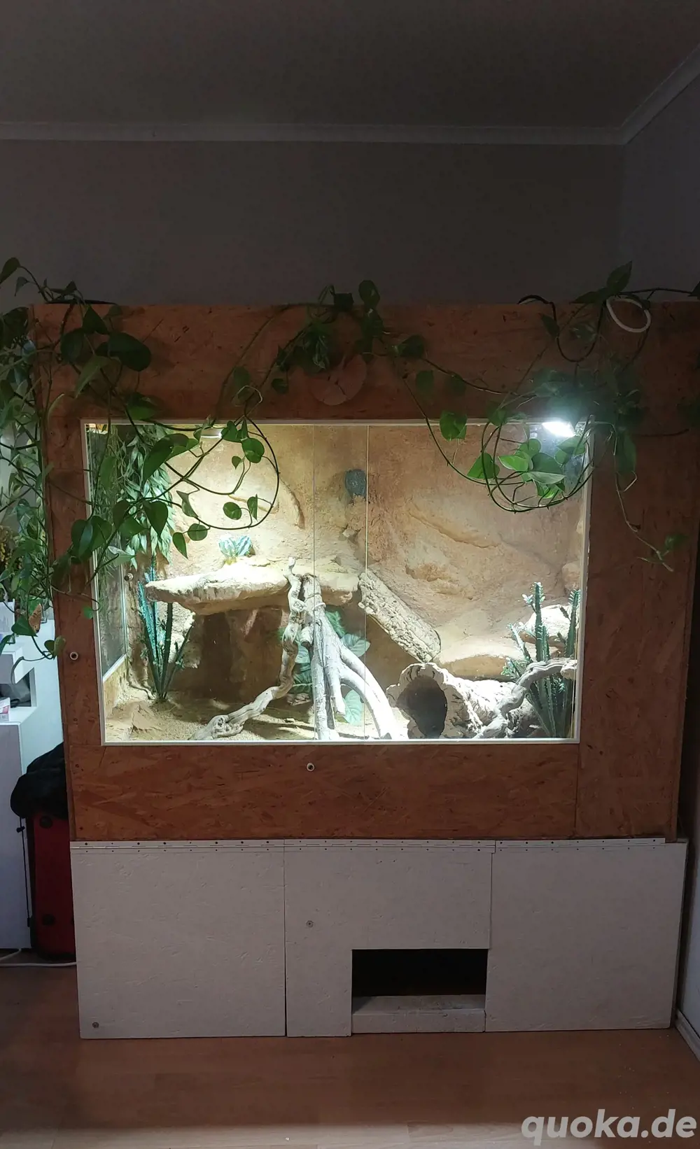 Terrarium - Wüstenterrarium -Holz-Glasterrarium Gesamtgroße 144x110x169