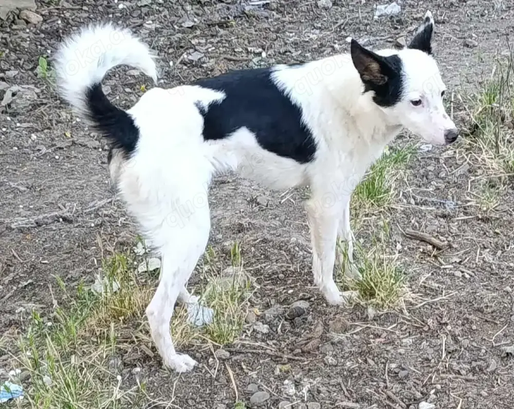 Palina - was fehlt bist du