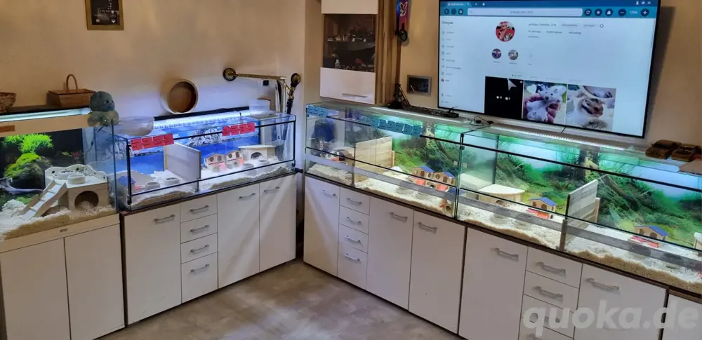 Nagarien und Zubehör für Hamster