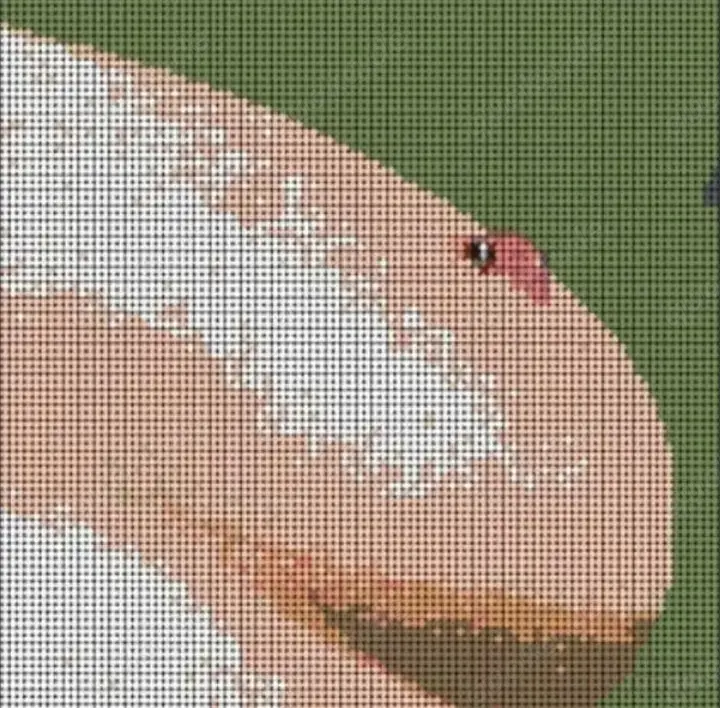 Paar oder Mann für Massage gesucht 