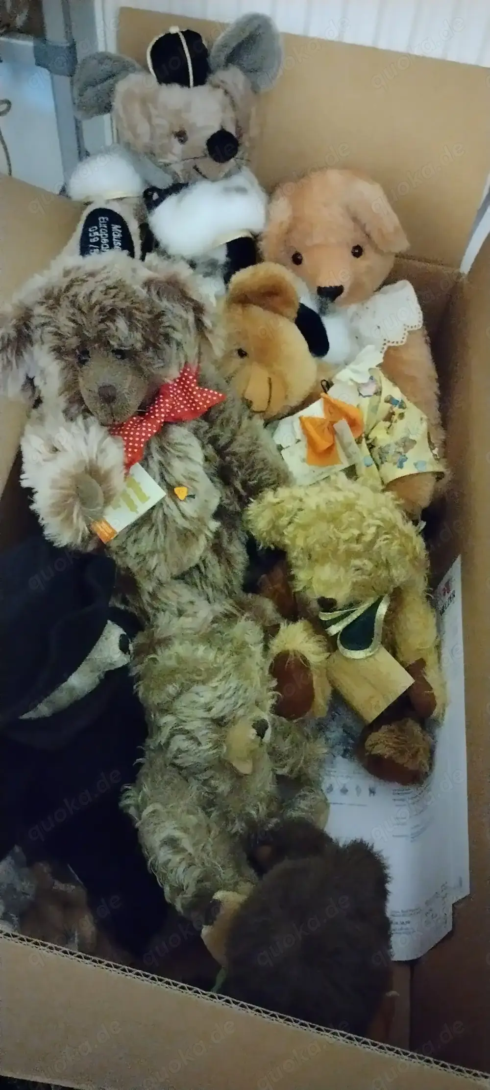Sammlerstücke Teddys 