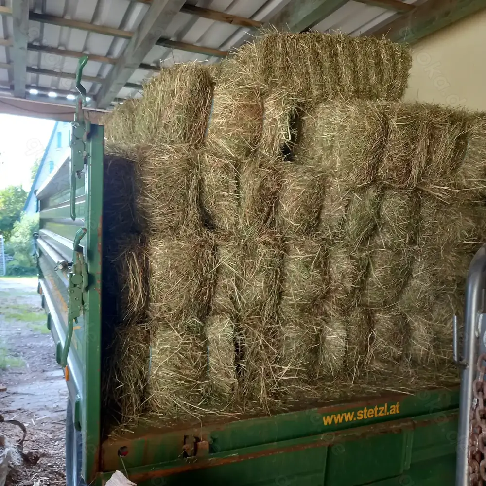 Heuballen , Abholung 200 St., 1.Schnitt