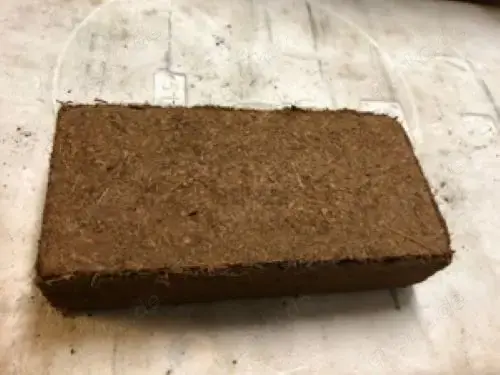 Kokos Ziegel Briketts Humus Terrarienerde