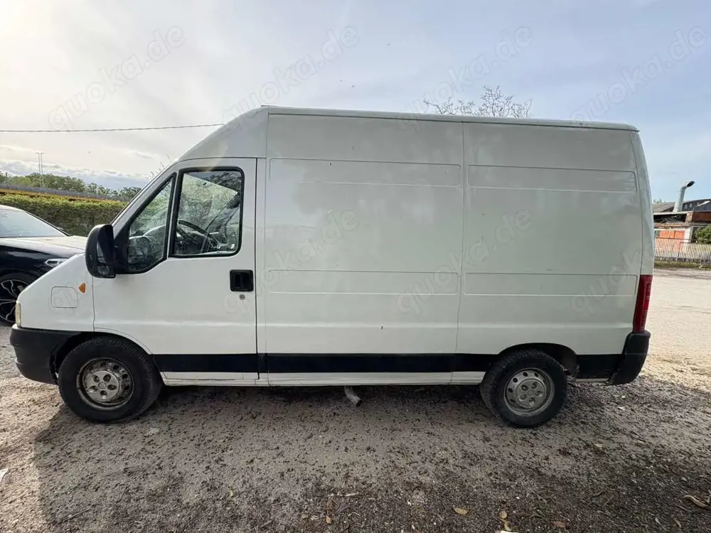 Fiat Ducato furgone in ottimo stato, iva esposta, motore nuovo