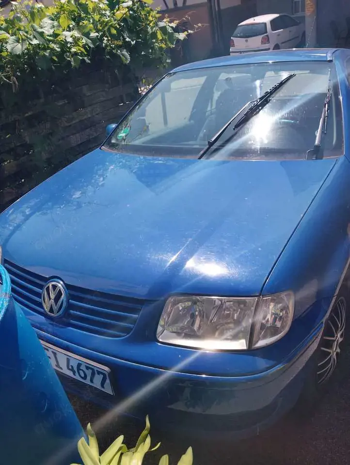 Volkswagen Polo Polo III