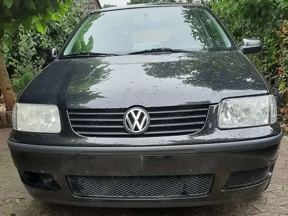 Volkswagen Polo Polo