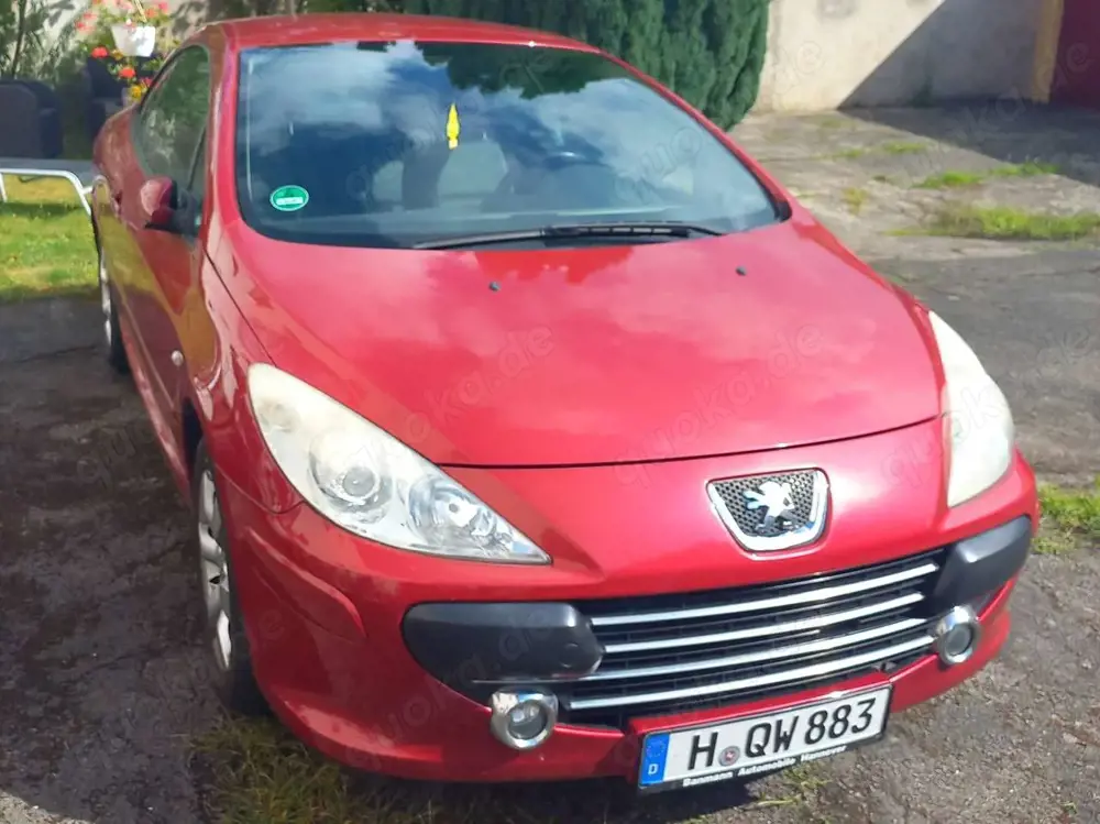 Peugeot 307 307 CC 135