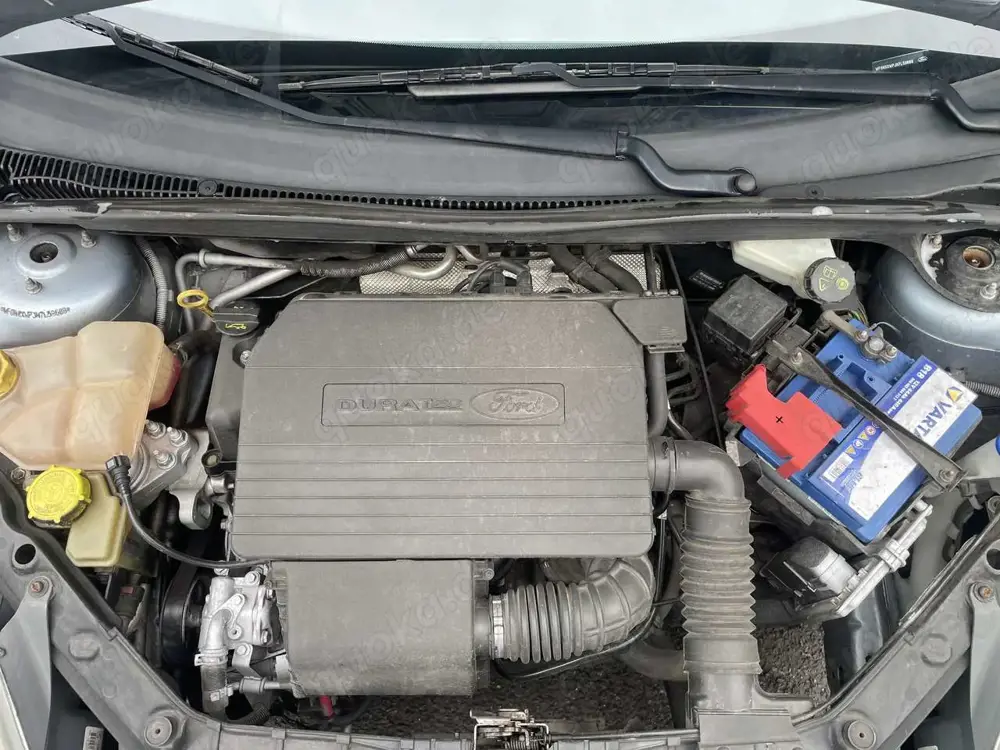 Ford Fiesta 5p 1.4i Ghia c/clima cat.