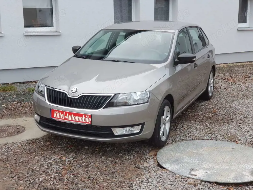 Skoda Rapid/Spaceback Cool Edition (NH)