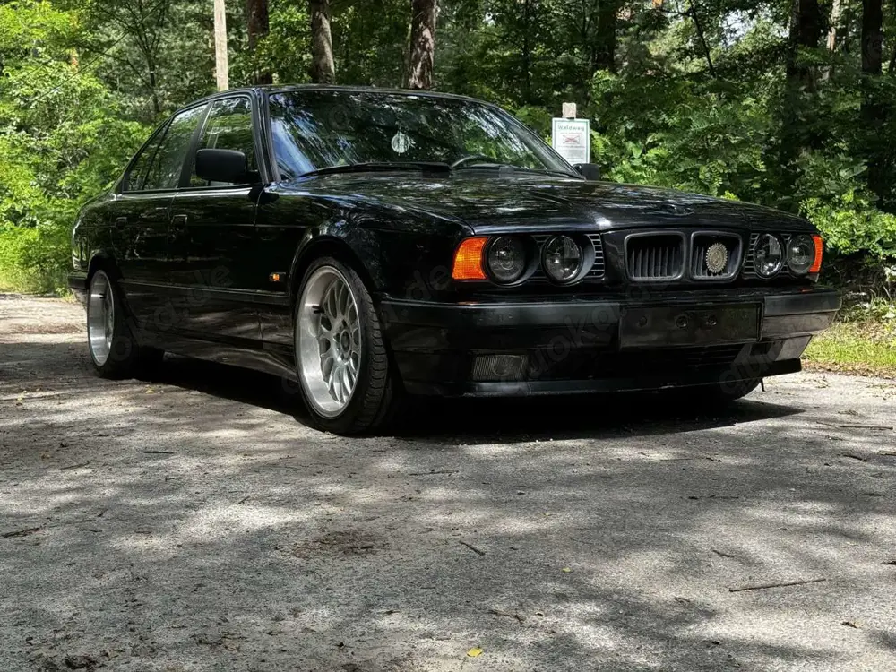 BMW 530 530i V8
