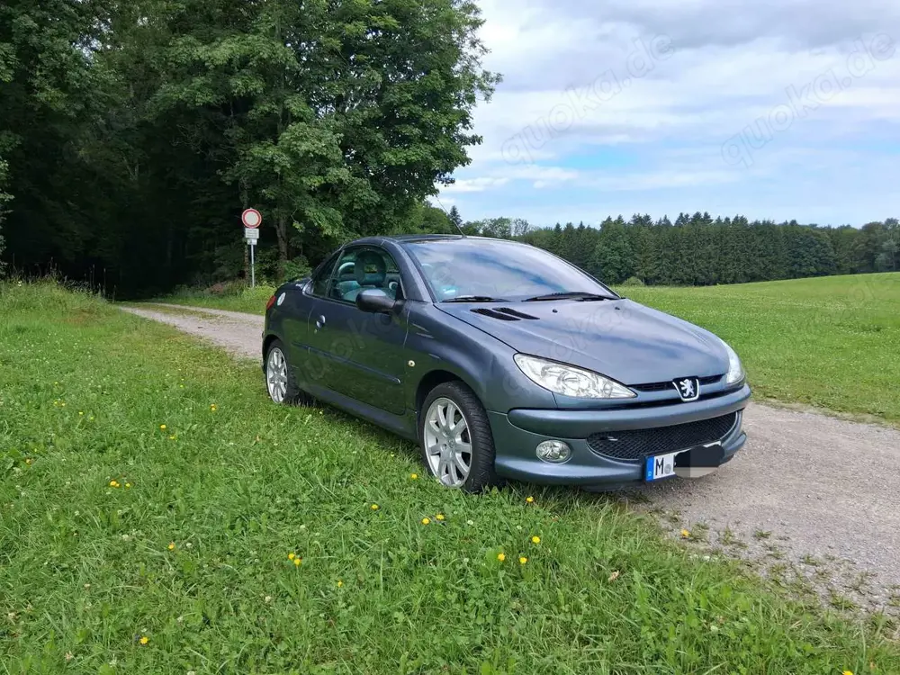 Peugeot 206 206 CC 110 Roxy