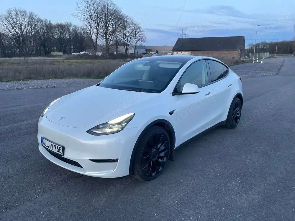Tesla Model Y Model Y Performance Dual Motor AWD