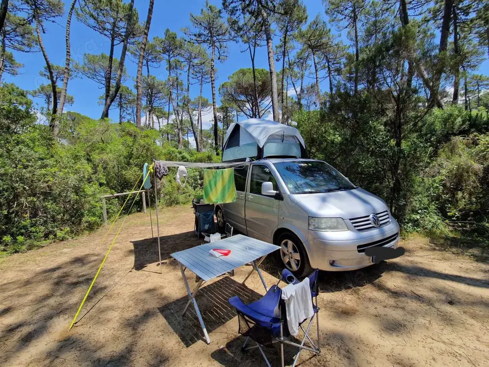Volkswagen T5 Multivan Multivan DPF Concert