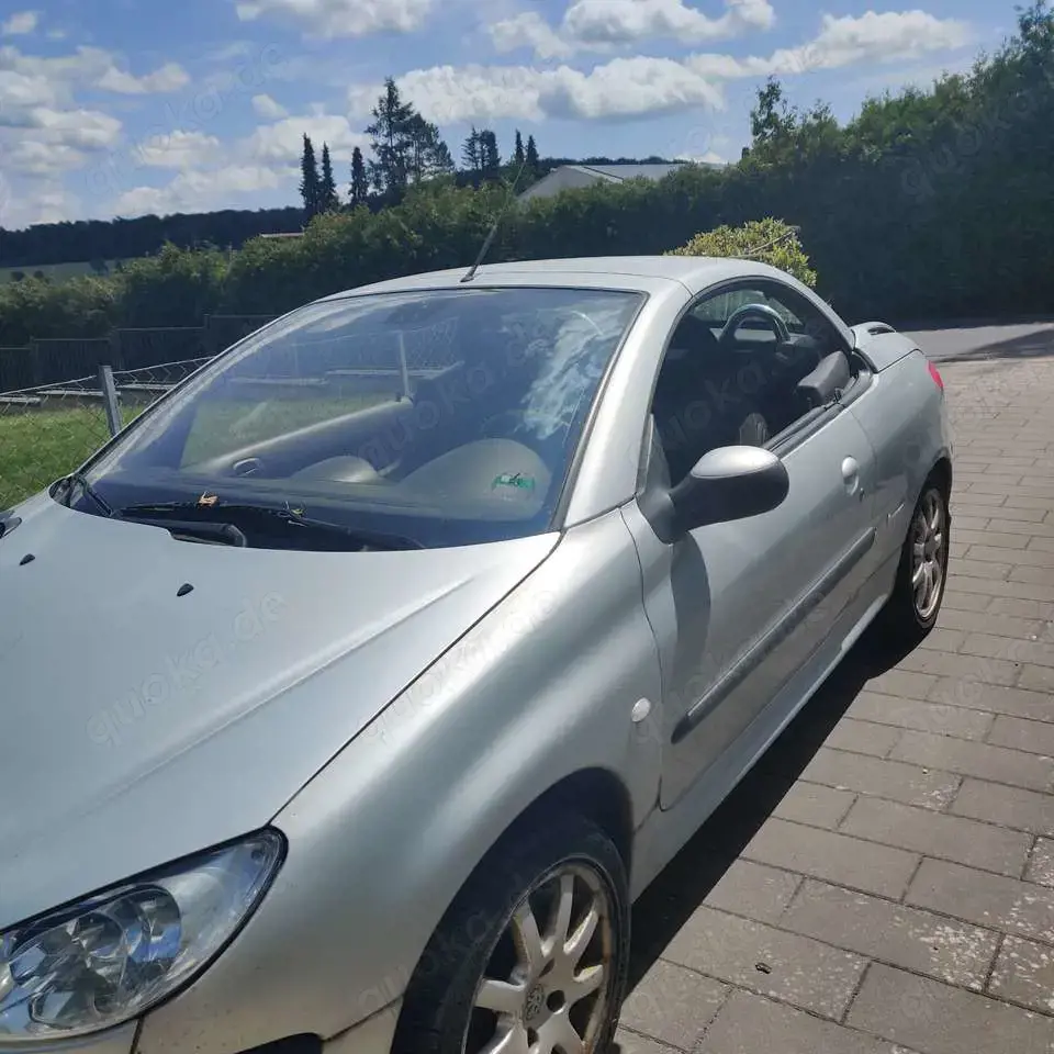 Peugeot 206 CC 110