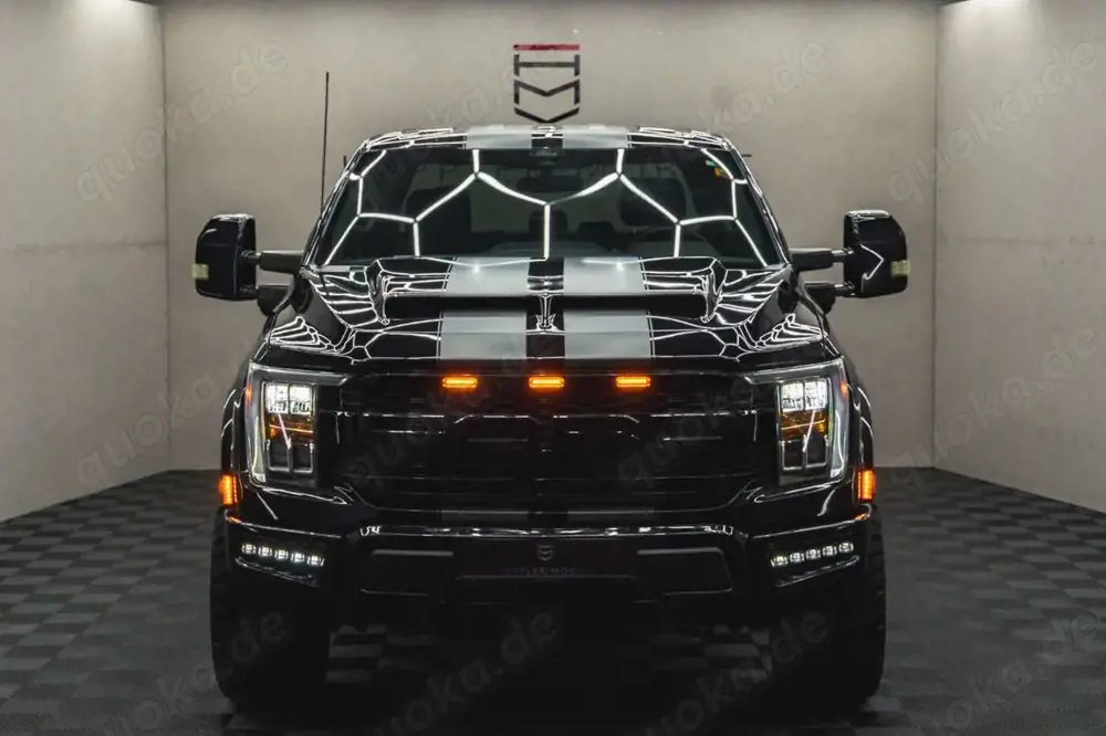 Ford F 150 RAPTOR Optik