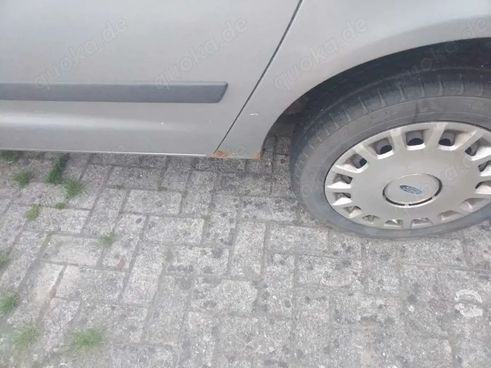 Ford Galaxy Galaxy TDI Trend