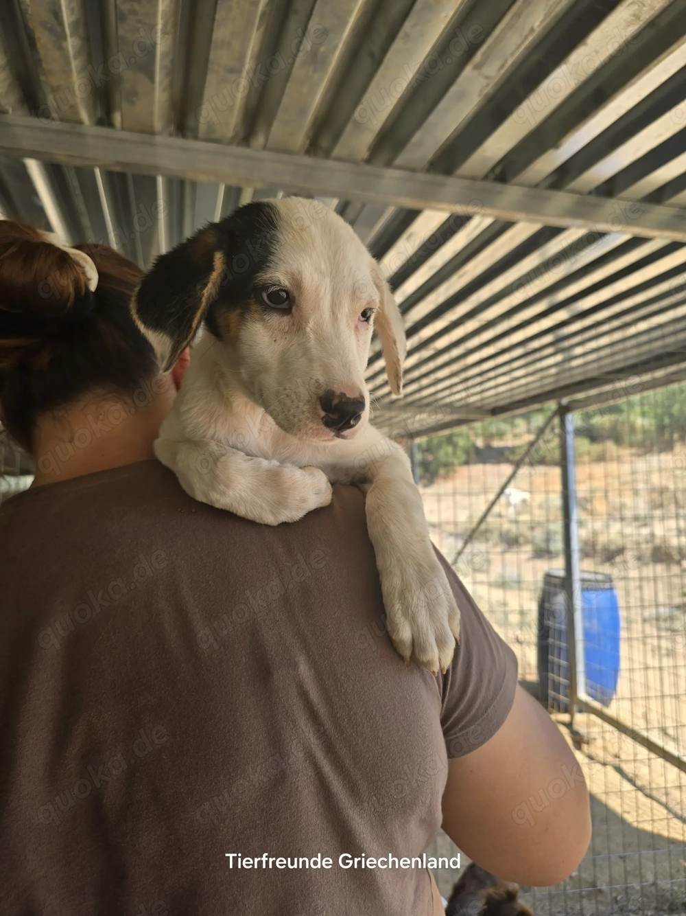 Kleine Miranda sucht ihr großes Glück 