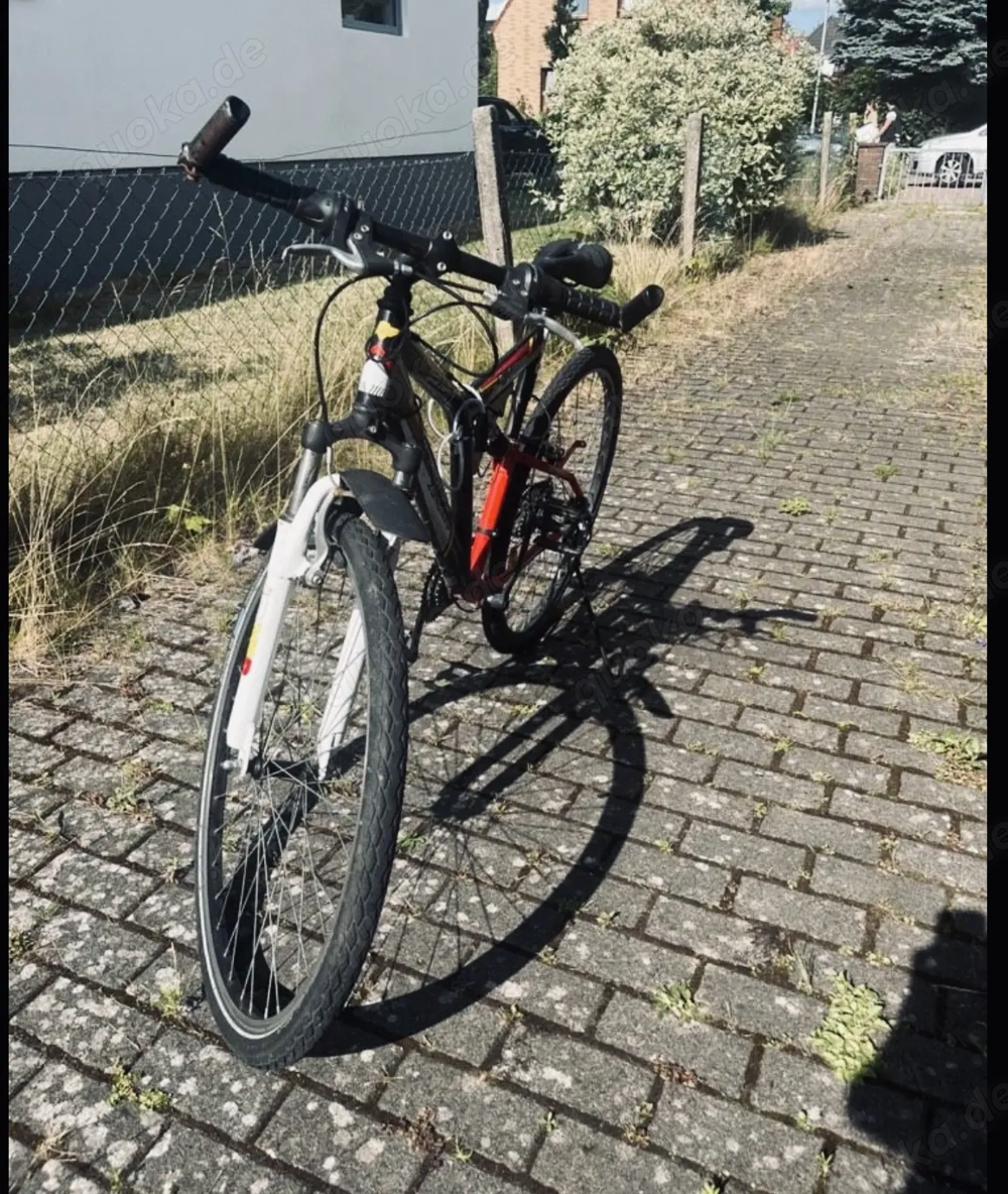 28 Zoll Fahrrad   50     Wegen Umzug schnell abzugeben