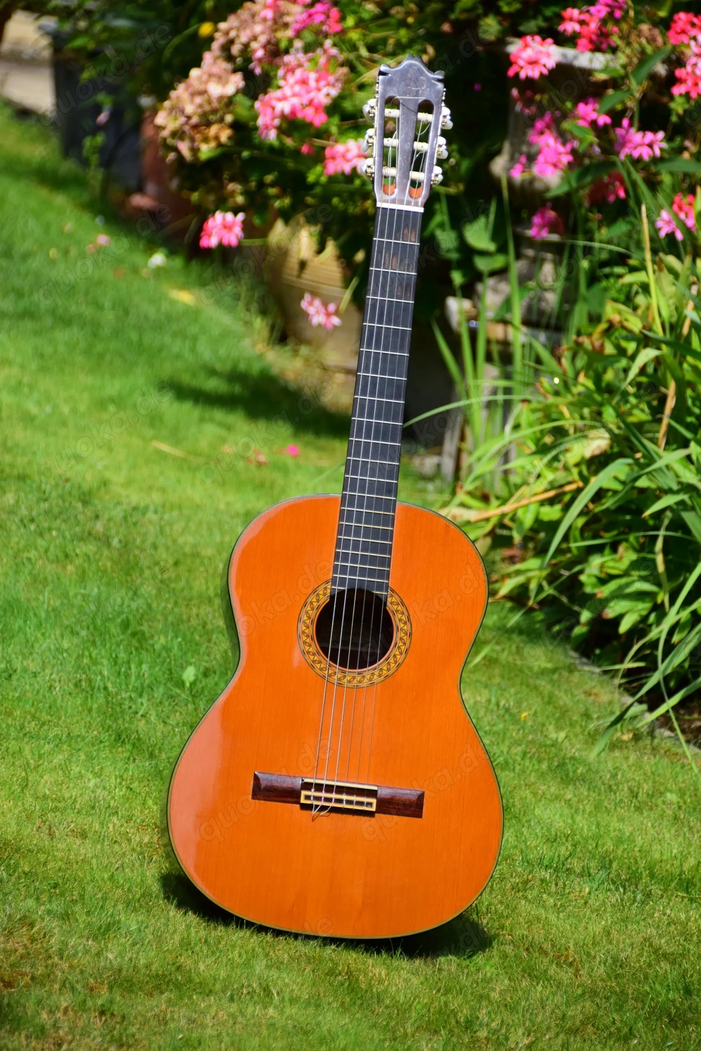 Gitarre, Ibanez GA80 von 1981 Gitarre, Ibanez GA80 von 1981