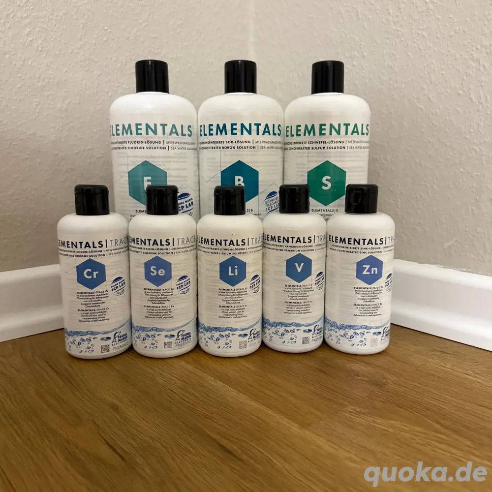 Fauna Marin Elementals   hochwertige Reef-Elemente einzeln abzugeben (NEU EINGETROFFEN - 16.06.2025)