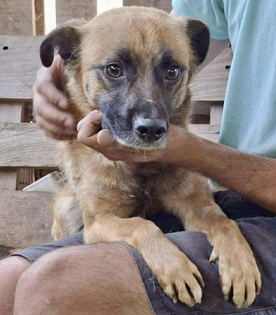 Arko ist auf der Suche nach Ruhe & Sicherheit