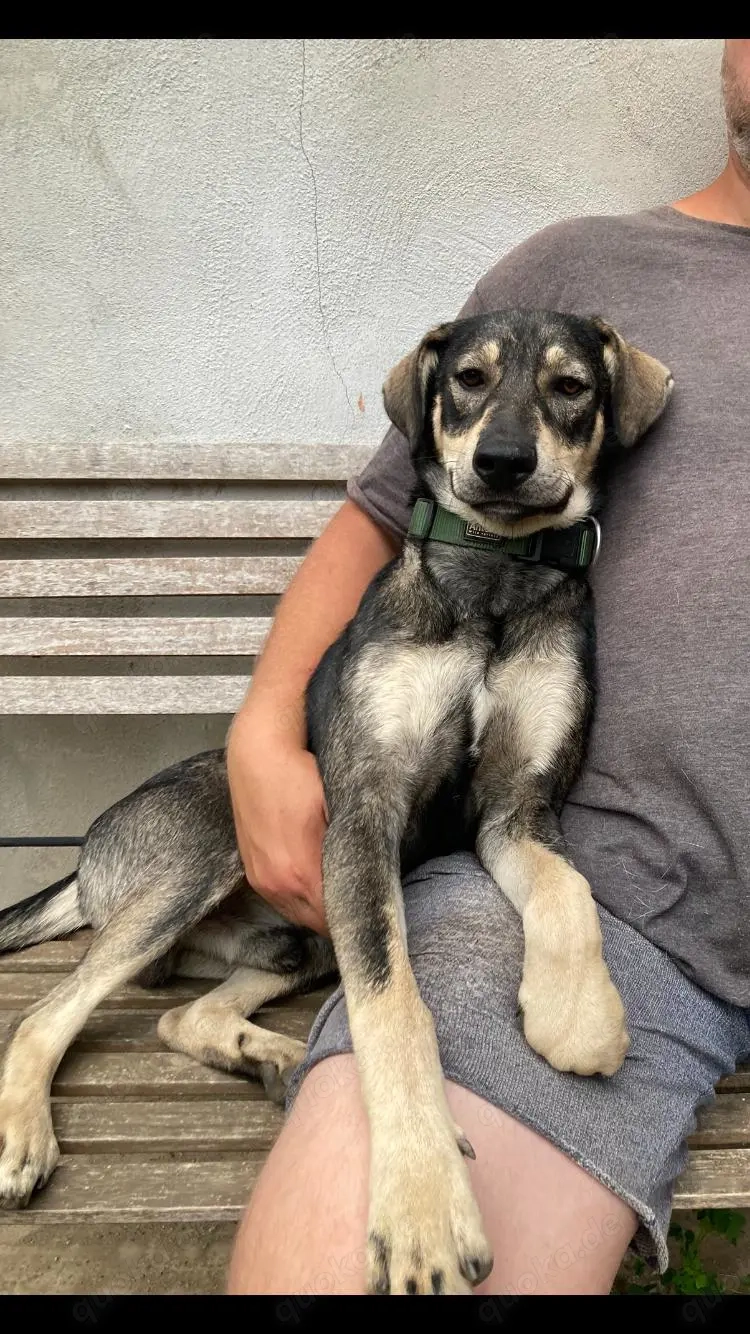 Barney - startbereit für das gute Leben