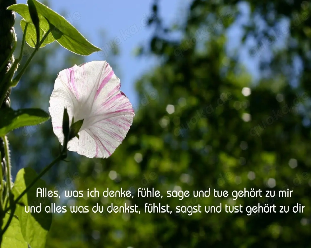 Wellnessmassage - - Deine Zeit nur für Dich !!! Für die Frau - für den Mann 