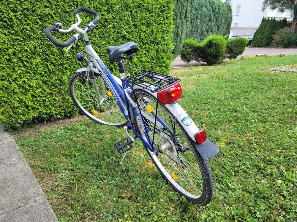 Pegasus Rimini Damenfahrrad zu verkaufen