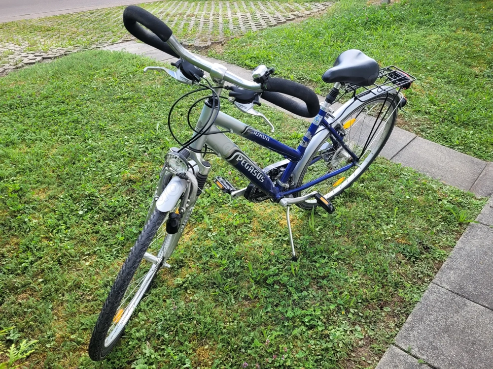 Pegasus Rimini Fahrrad zu verkaufen 