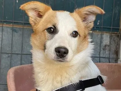 Jenna möchte endlich ankommen