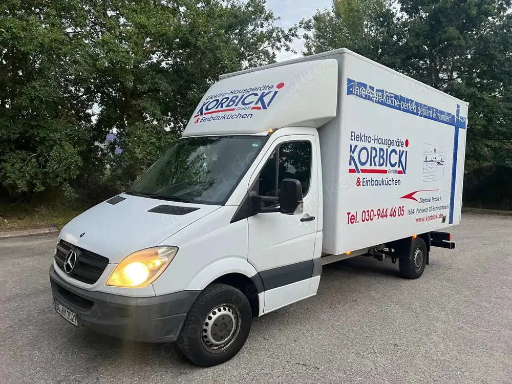Mercedes-Benz Sprinter 311 CDI Sprinter 906.135