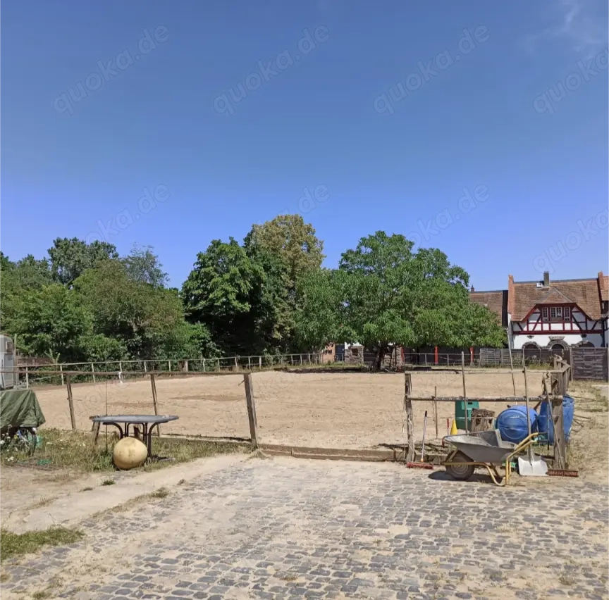 Offenstallplatz - Selbstversorger - Allergiker  Rehe geeignet - bedampftes Heu