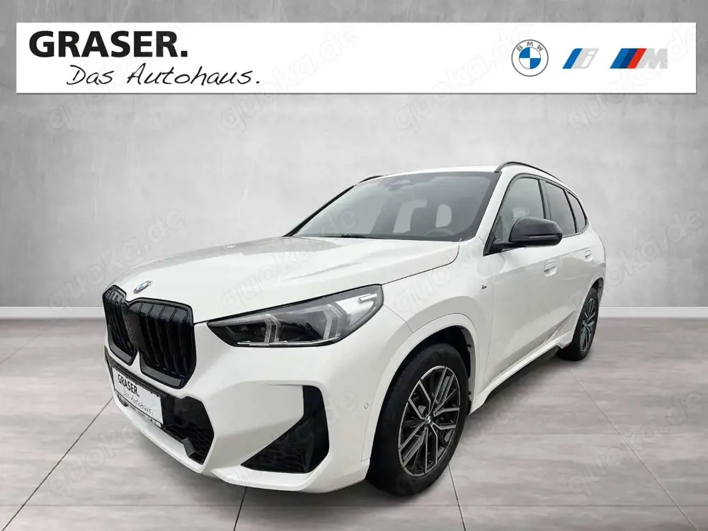 BMW X1 sDrive20i M Sportpaket DAB LED RFK Klimaaut.
