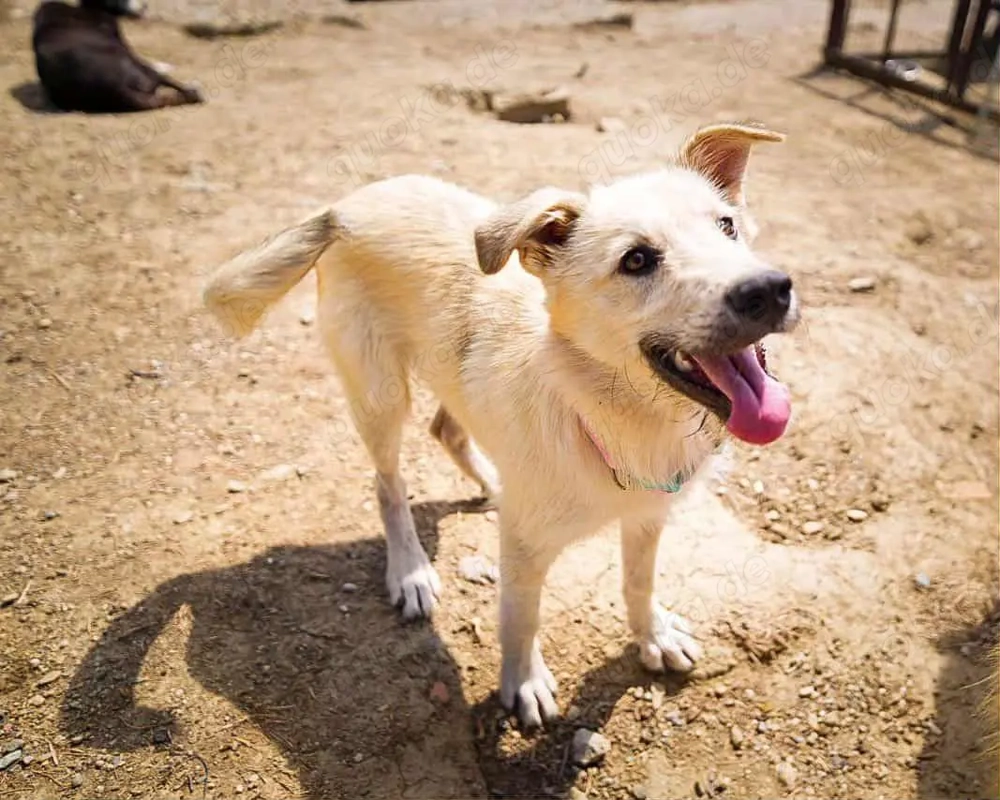 Freddy - der Freundliche!