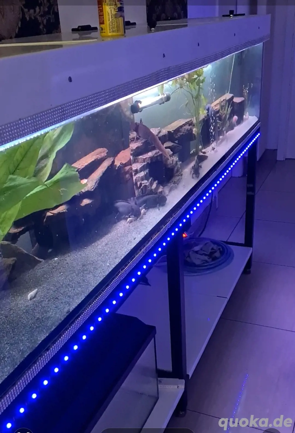 Super Aquarium Hochglanz Weiss 