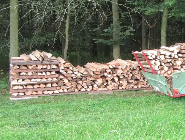 Brennholz Weichholz Kiefer