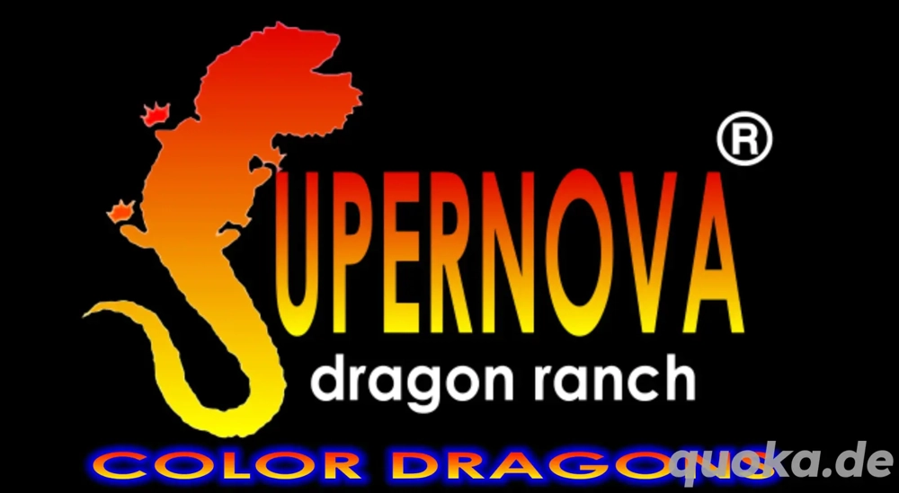 Hobbyaufgabe Namenspatent "Supernova" mit Tieren undZubehör 