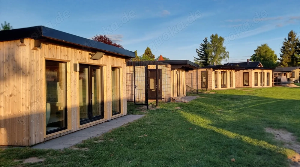 Die Katzenpension - Ein Zuhause auf Zeit