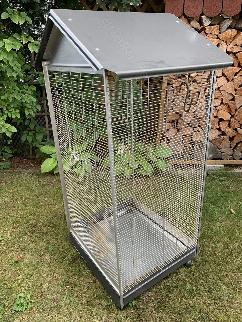 Dnoifne Spiralseil Zum Aufhängen Für Vögel – 2 M Kletterspielzeug Für Vogelkäfige, Papageien, Wellensittiche