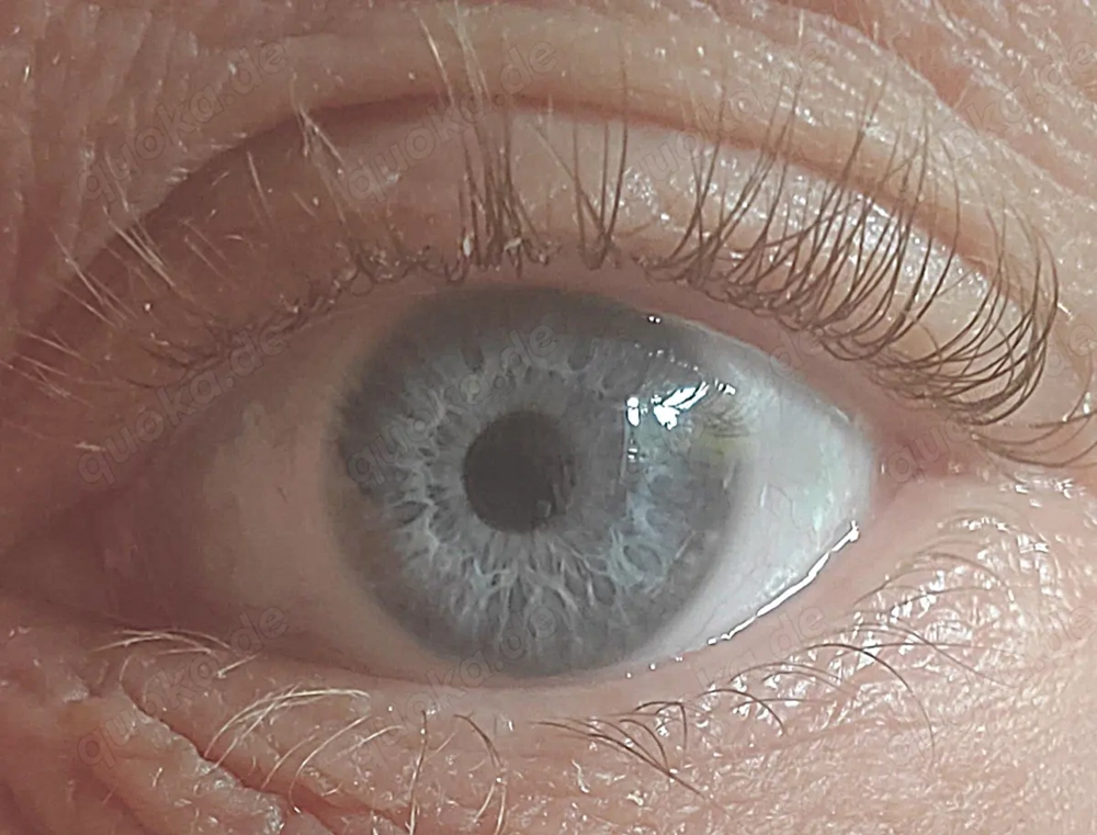 Dicker Schwanz sucht dicke Titten 