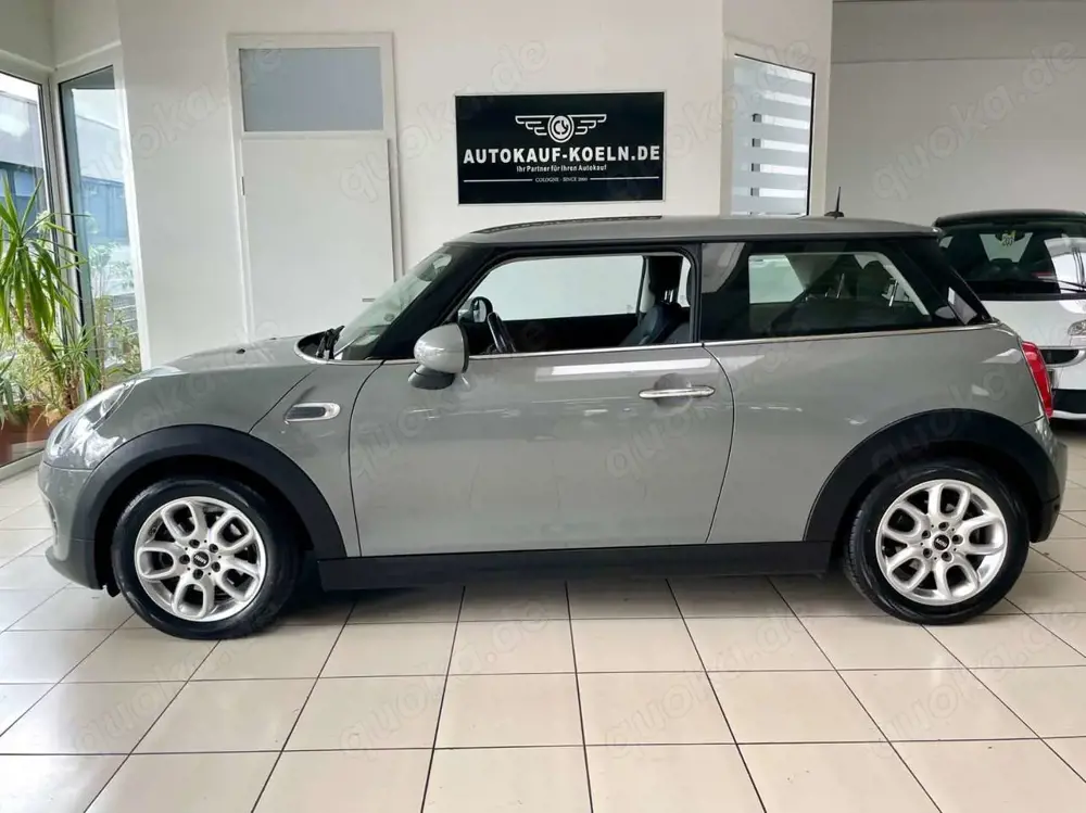 MINI One 1,5 Pepper/Klima/Alus
