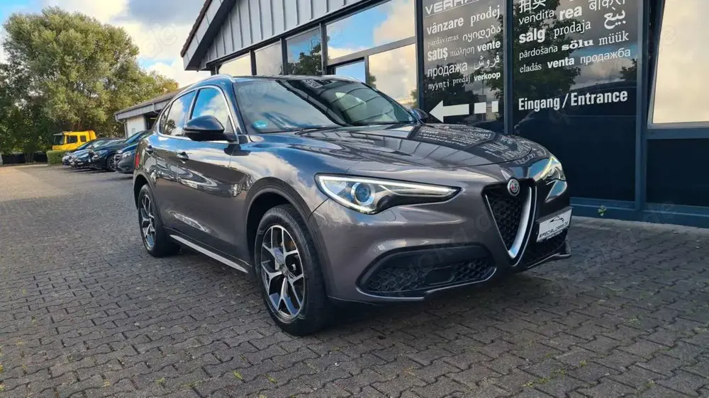 Alfa Romeo Stelvio Business Q4 - ASSISTS - CAM - MEMORY