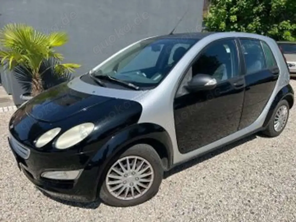 smart forFour Basis 1.3 *Kundenauftrag *AHK*