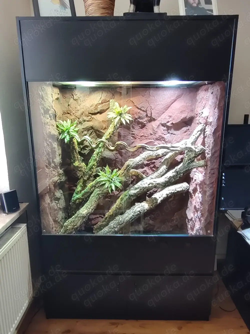 Terrarium 120x60x200 mit Glasfaser-Echtfelswand wie NEU!