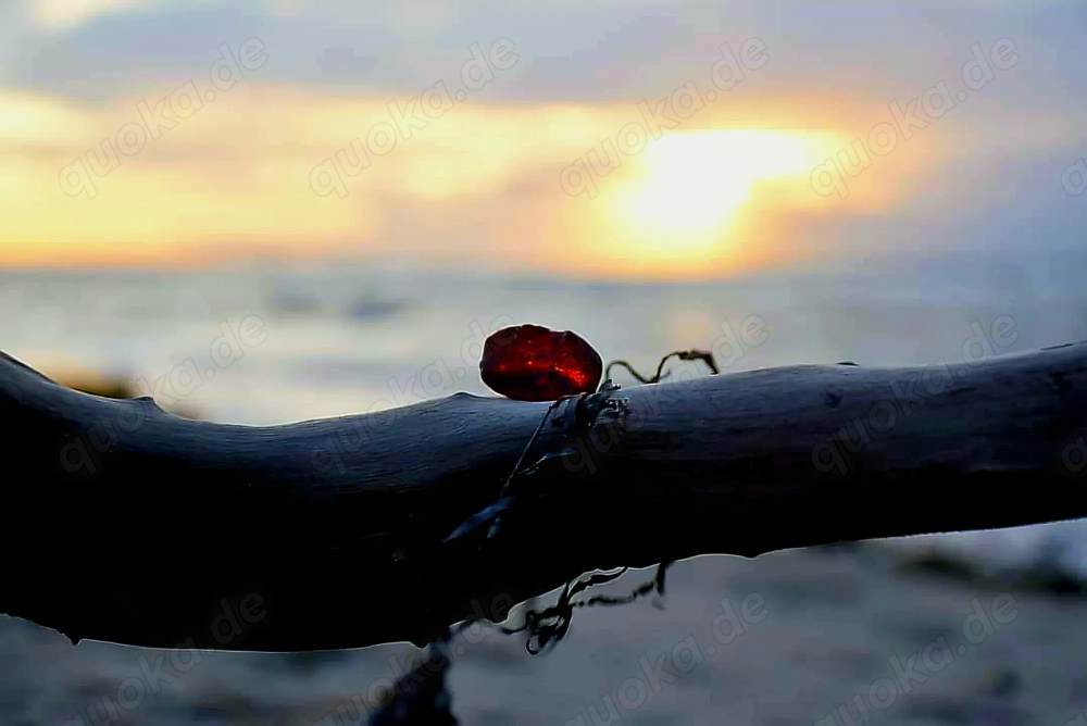   Notfall   500  für 3 Tage